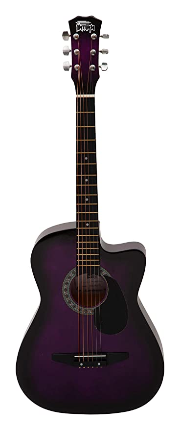 Intern INT-38C-VT-G Cutaway Right-Handed Acoustic Guitar Kit (Violet)