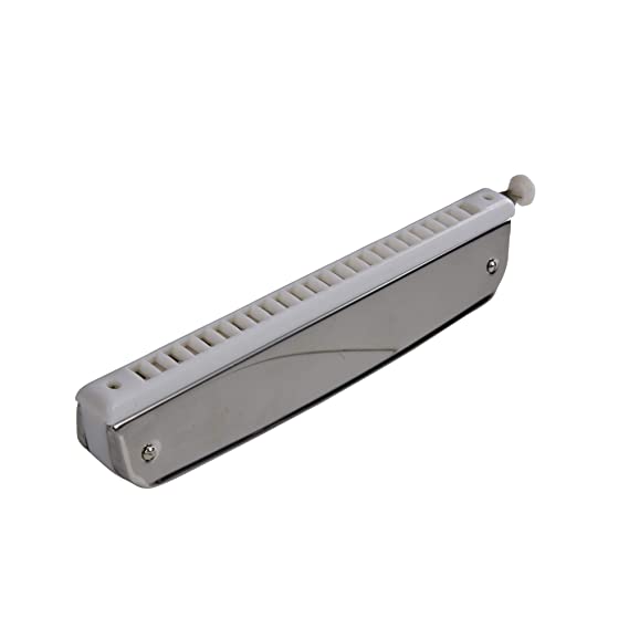 ARCTIC C Scale 24-Hole Chromatic Scale Changer Harmonica with Case – Premium Mouth Organ