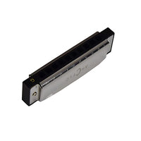 ARCTIC G Scale 10-Hole 20-Tone Harmonica | Premium Mouth Organ with Case & Cloth