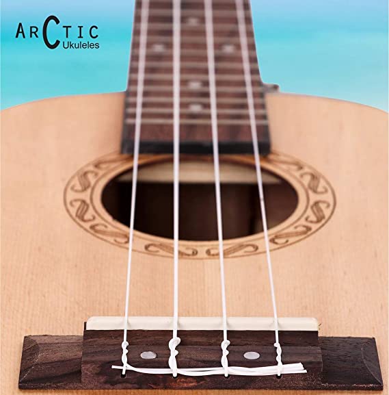 Arctic AC-UK24SPR Concert Ukulele Kit with Bag and String Set (Natural)