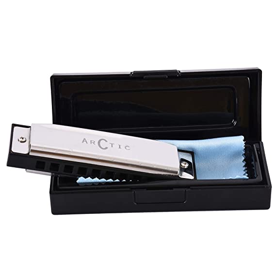 ARCTIC AR-HA10 Key C 10 Hole Diatonic Blues Mouth Organ Harmonica for Professional Player, Silver