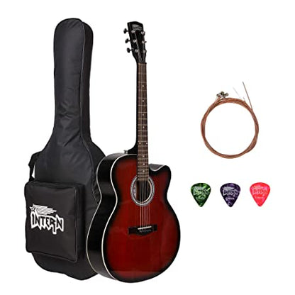 Intern Made in India Acoustic Guitar Package (39 inches Cutaway)