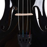 Arctic Onyx 4/4 Solid Wood Professional Black Violin for Beginners | AR-PVK-02