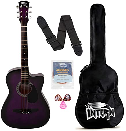 Intern INT-38C-VT-G Cutaway Right-Handed Acoustic Guitar Kit (Violet)