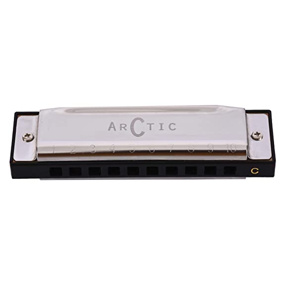 ARCTIC AR-HA10 Key C 10 Hole Diatonic Blues Mouth Organ Harmonica for Professional Player, Silver