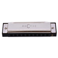 ARCTIC Key C 10-Hole Diatonic Harmonica Mouth Organ – For Beginners & Professionals with Hard Case (Silver) - Guitar World Store